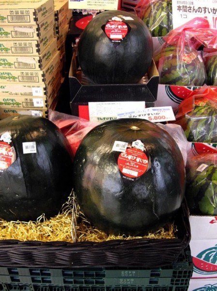 Эти дорогие продукты вы, скорей всего, не попробуете